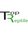 Top-Reptile