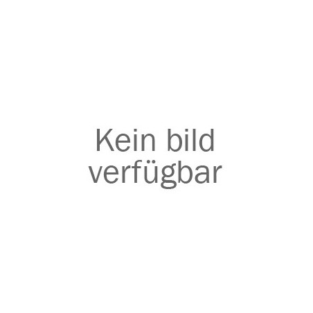 Kermaikheizstrahler/ Schwarzlicht